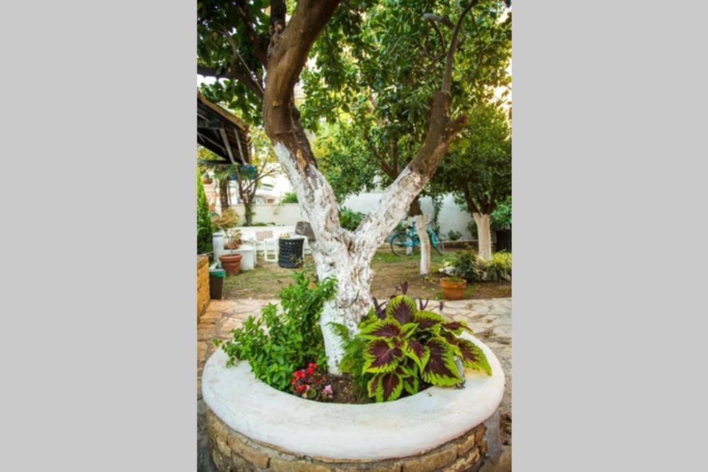 Oasis Villa Preveza Exterior foto